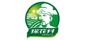 探花村品牌logo