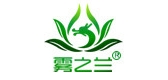 雾之兰品牌logo