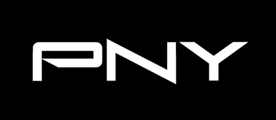 PNY/必恩威品牌logo
