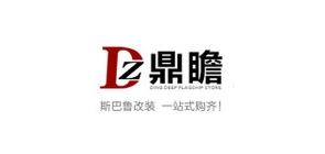 DZ/鼎瞻品牌logo
