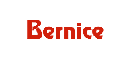 Bernice品牌logo