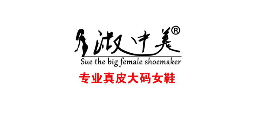 淑中美品牌logo