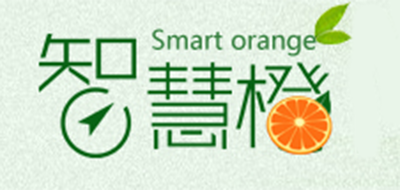 智慧橙品牌logo
