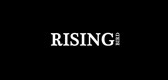 Rising bird/瑞星鸟品牌logo