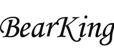 Bearking品牌logo