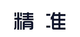 XONIX/精准品牌logo
