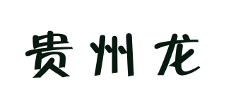 贵州龙品牌logo
