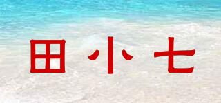 田小七品牌logo