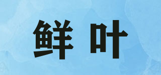鲜叶品牌logo