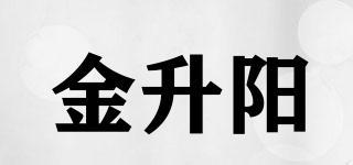 MORNSUN/金升陽品牌logo
