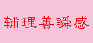 辅理善瞬感品牌logo