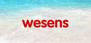 wesens品牌logo