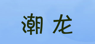 潮龙品牌logo