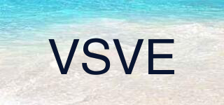 VSVE品牌logo