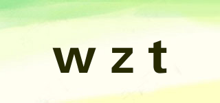 wzt品牌logo