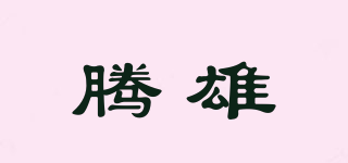 腾雄品牌logo