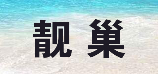 靓巢品牌logo