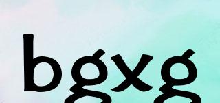 bgxg品牌logo