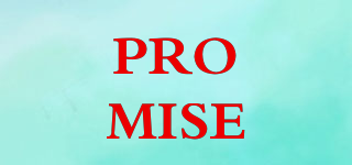 PROMISE品牌logo