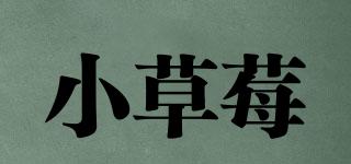 Lsb/小草莓品牌logo