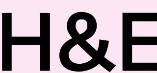 H&E品牌logo