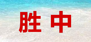 SZFB/胜中品牌logo