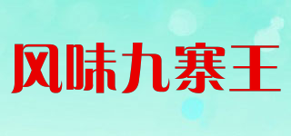 风味九寨王品牌logo