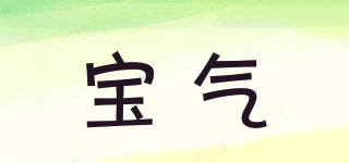 soulteam/宝气品牌logo