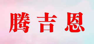 TIIGIIN/腾吉恩品牌logo