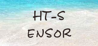 HT-sensor品牌logo