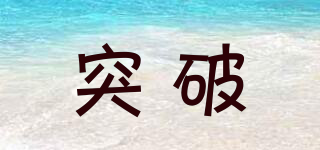 PTOTOP/突破品牌logo