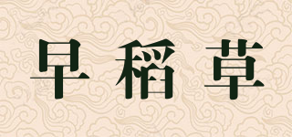 早稻草品牌logo
