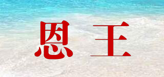恩王品牌logo