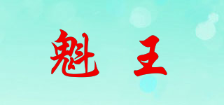 魁王品牌logo
