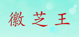 徽芝王品牌logo