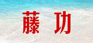 藤功品牌logo