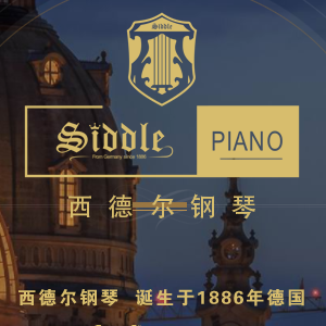 Siddle/西德尔品牌logo