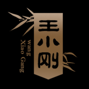王小刚品牌logo
