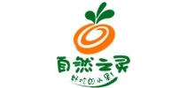 Reiki of nature/自然之灵品牌logo