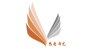 飞秀品牌logo