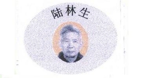 陆林生品牌logo