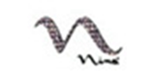 NINA品牌logo