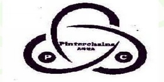 Pinterchains/品特链条品牌logo