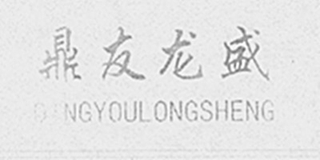 鼎友龙盛 DINGYOULONGSHENG品牌logo