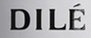 帝力品牌logo