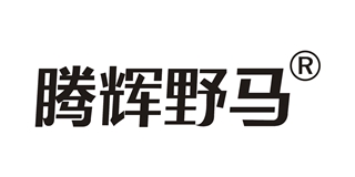 腾辉野马品牌logo