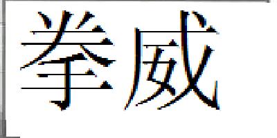 拳威品牌logo