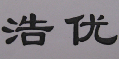 浩优品牌logo