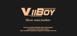 VIIBOY品牌logo