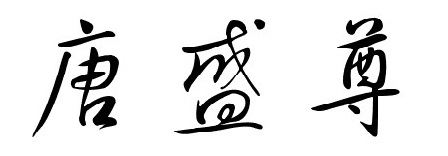 唐盛尊品牌logo